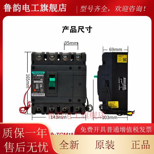 TENGEN天正TGM1N-250L/4340B 250A塑壳断路器250A空气开关4P 380V
