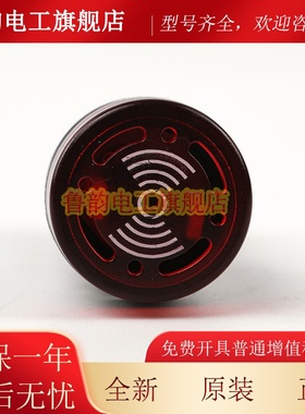 电梯闪光蜂鸣器AD66B-22SM报警器照明警示灯LED交直流220V24V12