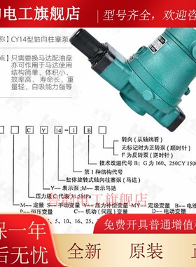 上海高压轴向柱塞泵2.5 10MCY14-1B 25SCY 40 63 80 160YCY 32PCY