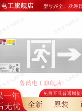 利达华信疏散灯B3201A集中电源D3201A壁挂D3200A消防应急标志灯具