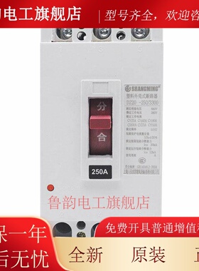 Dz20Y-160C225A250J400A630A塑料外壳断路器空气开关三相380V电机