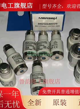 D02GG40V32 S227647 D02GG40V35 R219826 MERSEN熔断器