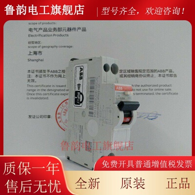 ABB原装进口漏电保护器GSN201L一位双进双出空气开 关断路器1P+N