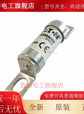 美国BUSSMANN保险丝管 BS88:4熔断器 45ET 45A 63ET 63A 690V