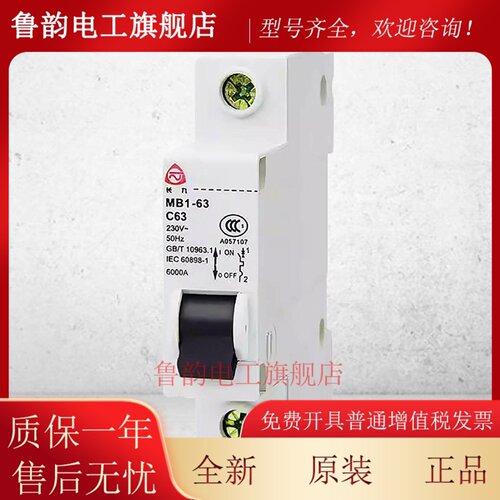 贵州泰永长征小型断路器MB1-63C/D微型空气开关1P 2P 3P 4P 6-63A