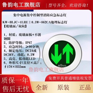 青鸟消防 中科知创 应急疏散指示牌 集中控制 地埋灯集中电源36v