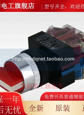 人民电器RDA37-11X21 2挡旋钮 20X31 3档旋钮(Y090 LAY37 NP4)