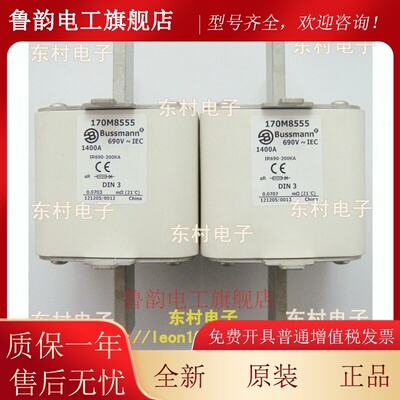 美国EATON Bussmann保险丝170M8552/8553 170M8554 690V熔断器