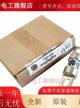 伊顿bussmann保险丝FWH-50B-60B-80Ba-100Bc-125B-150B-200B 500V