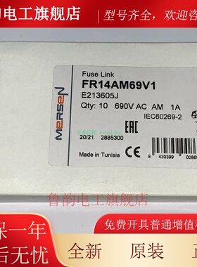 FR14AM69V1 FR14AM69V2 FR14AM69V4/V6/V8/V10/V12 MERSEN保险丝