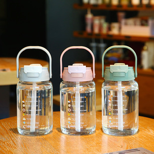 高颜值大肚杯子女生新款2025玻璃杯大容量1000ml便携双饮吸管水杯