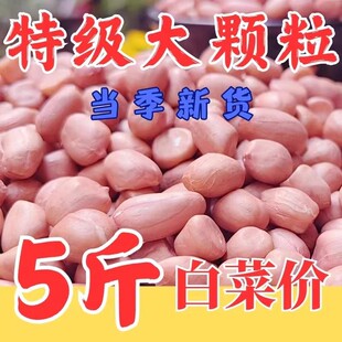 5斤批发价 2025花生米新货花生粉皮新鲜大粒粉红皮榨油白沙花生仁