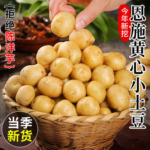 正宗恩施黄心土豆新鲜整箱