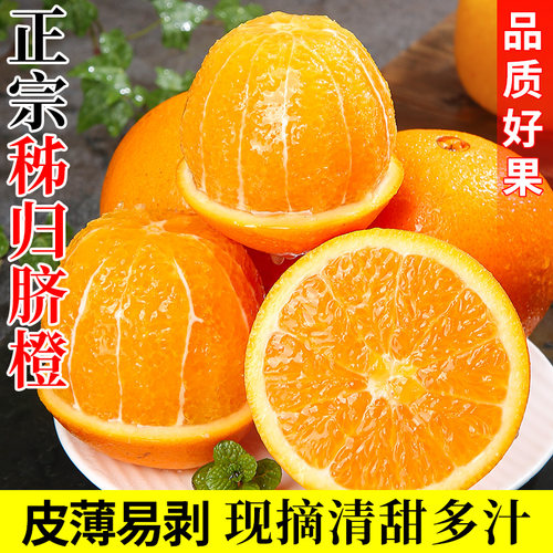 湖北秭归脐橙现摘现发香甜多汁