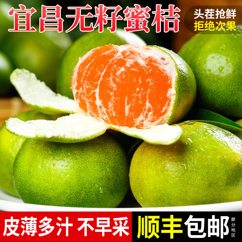 宜昌蜜桔橘子新鲜时令水果季涌砂泉糖无籽桔子青皮柑橘顺丰包邮