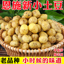恩施小土豆10斤 农家新鲜洋芋迷你黄心士豆湖北马铃薯整箱蔬菜 包邮