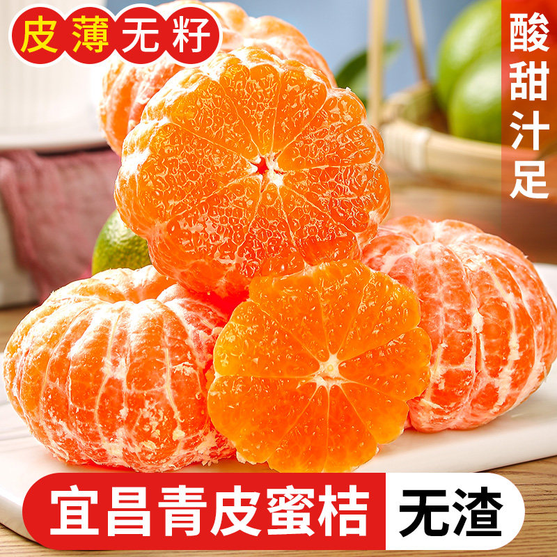 宜昌青皮蜜桔头茬新鲜桔子
