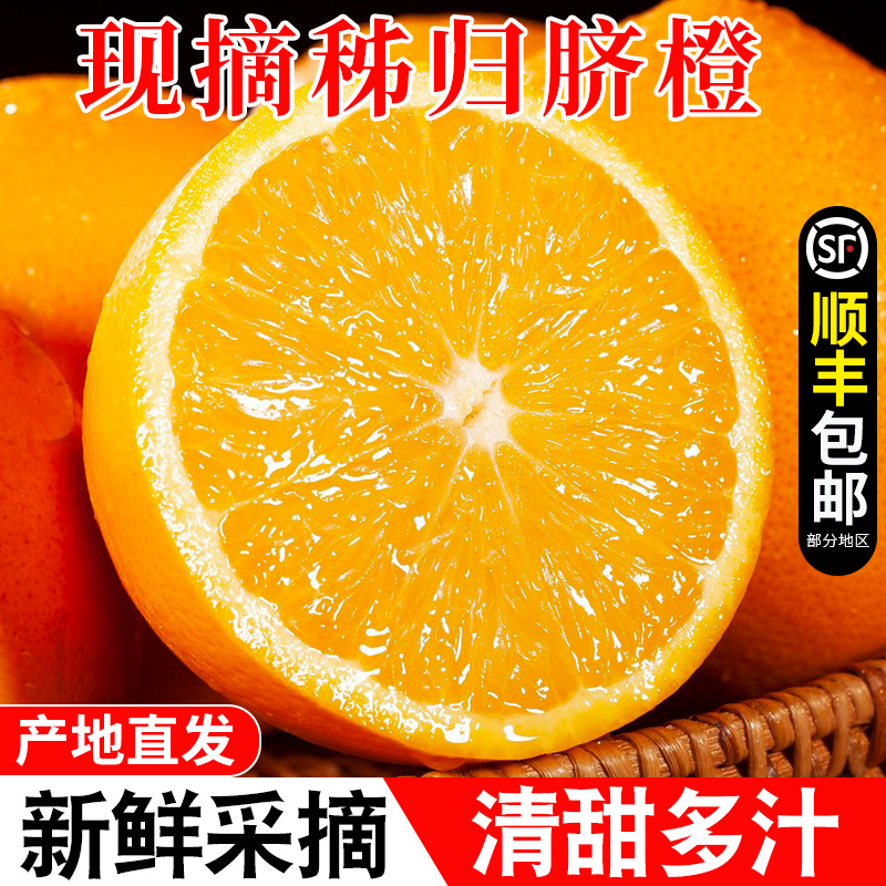 湖北秭归脐橙现摘现发爆甜多汁