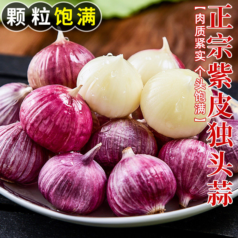 紫皮独头蒜云南紫皮大蒜蒜头湿蒜5斤2026年独蒜新鲜新蒜大蒜头10