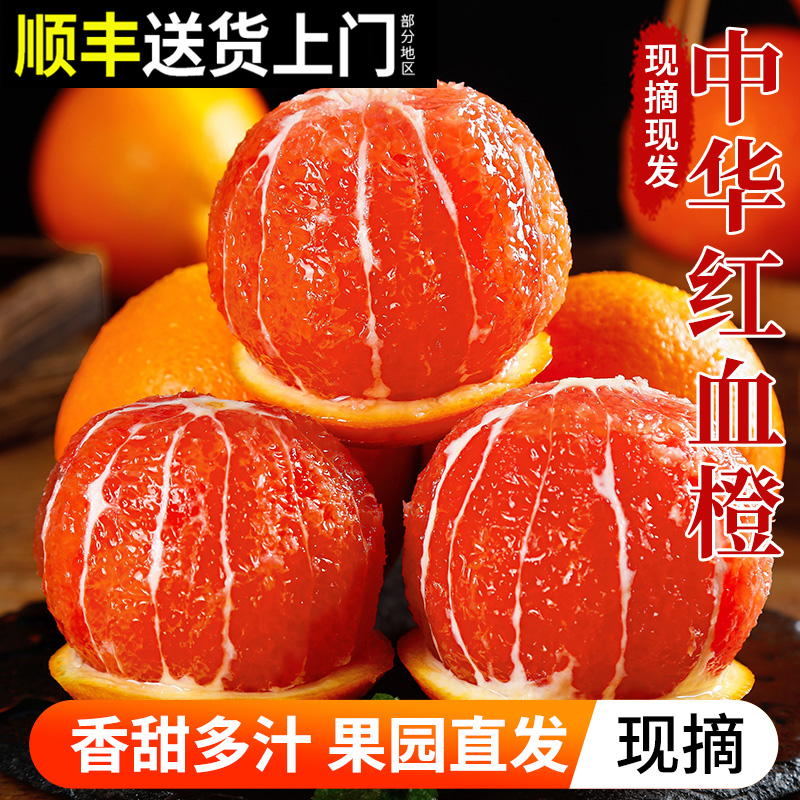 口口爆汁！正宗中华红血橙