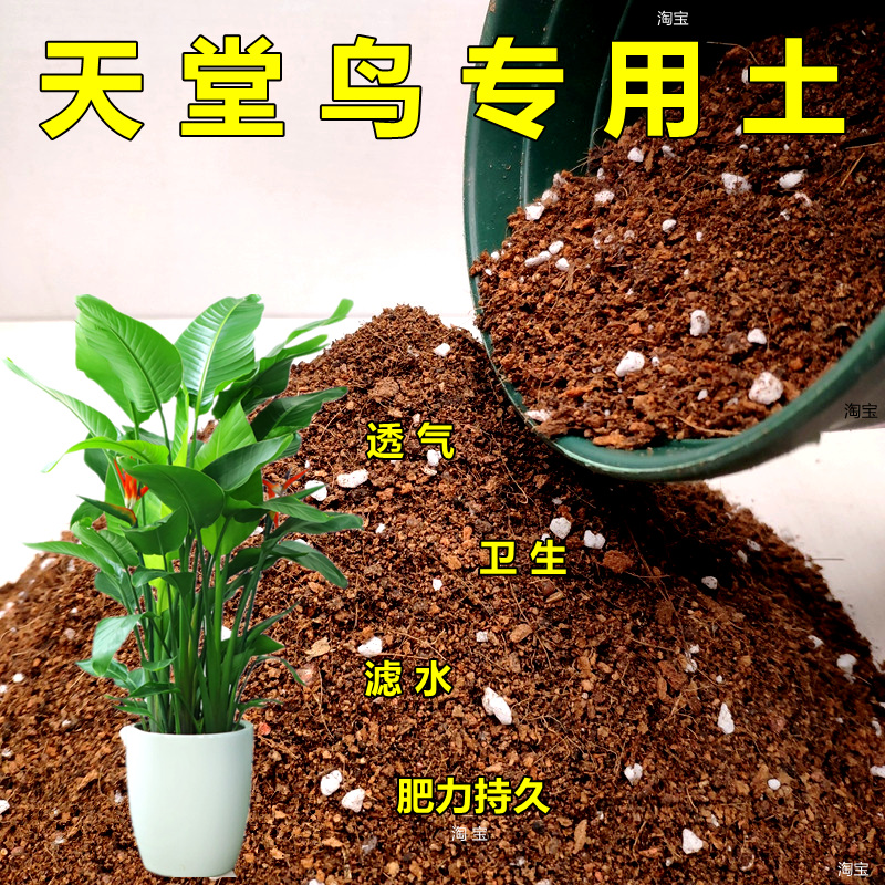 天堂鸟花卉弱酸性家庭园艺专用土