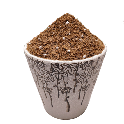 三角梅弱酸性家庭园艺花卉专用土