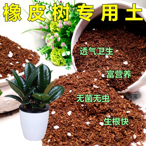彤巷基地配方土透气好生根！