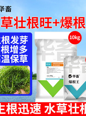 华畜水草壮根肥水草生根肥高温保草丹伊乐草颗粒长根宝水草生根粉