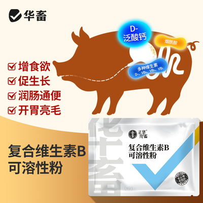 华畜兽用复合维生素B可溶性粉补充维生素消化口腔炎VB添加剂批发