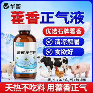 华畜藿香正气水兽用猪牛羊抗应激鸡鸭鹅中暑解清热降温解暑口服液