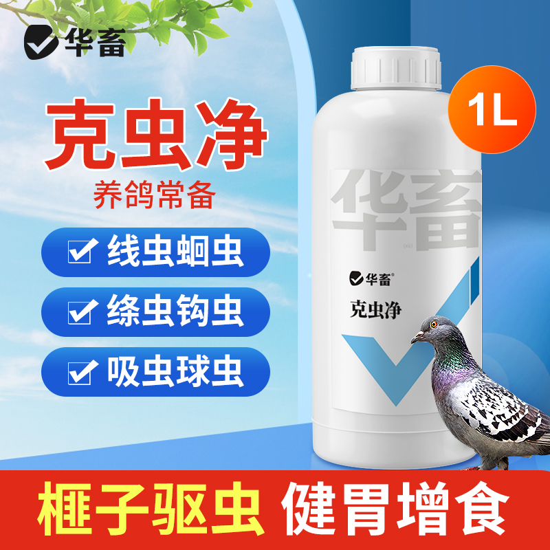 华畜全虫清鸽子大全驱虫鸽子