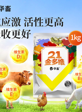华畜活力金维电解多维兽用维生素微量元素猪牛羊鸡龟用黄金多维