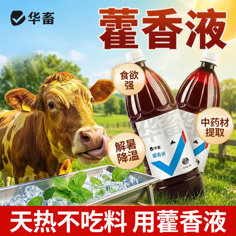 华畜藿香液兽用降温解暑口服液猪牛羊抗应激鸡鸭鹅中暑清热