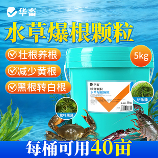 华畜水草爆根颗粒爆根王壮根护草宝爆白根水草肥颗粒虾蟹水草生根