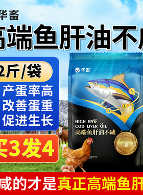 华畜鱼肝油兽用鸡鸭鹅禽用增蛋宝电解多维维生素ade粉芦丁鸡产蛋