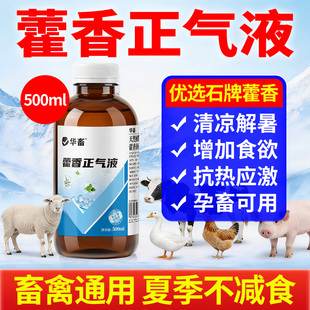 华畜藿香正气水兽用猪牛羊抗应激鸡鸭鹅中暑解清热降温解暑口服液
