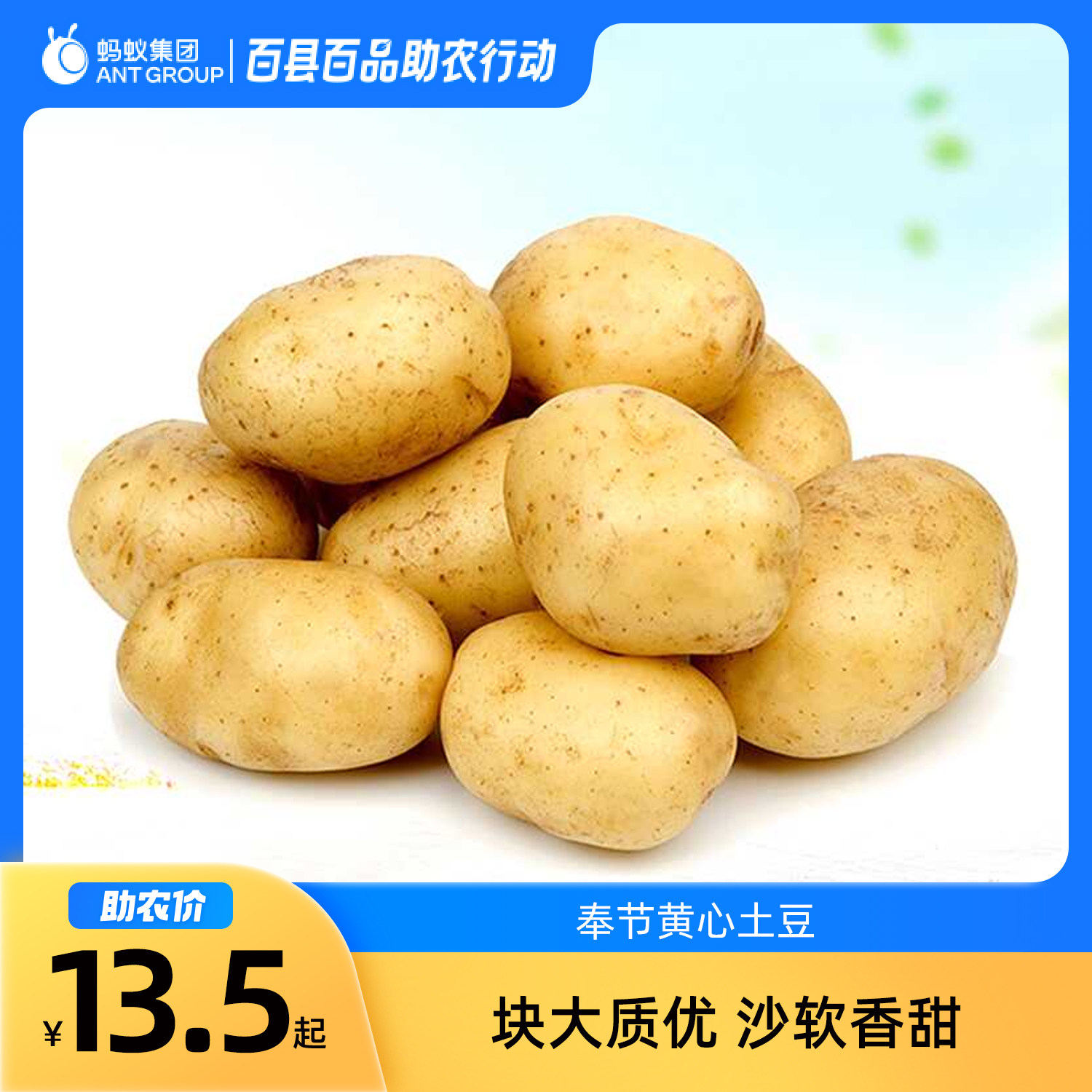 新鲜黄心高山个大热销土豆马铃薯农家自种蔬菜洋芋,水产肉类/新鲜蔬果/熟食,土豆,淘宝优惠券,粉丝福利购,淘宝优惠卷