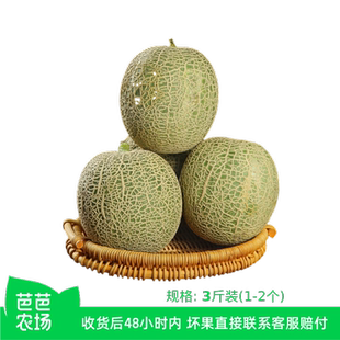 【芭芭农场】山东网纹瓜3斤(1~2个)新鲜脆甜
