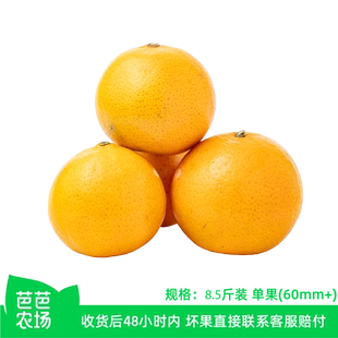 【芭芭农场兑换】广西沃柑8.5斤60mm+新鲜多汁果肉细腻
