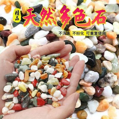 多色石子五彩肉铺面石多肉盆栽用