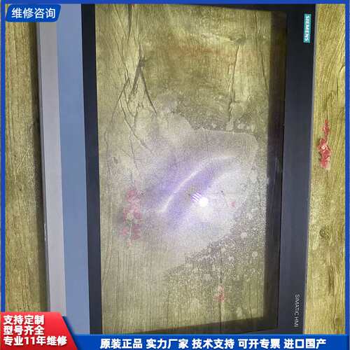可维修-E1302，西门子tp1900，124-0uc02前面框，触