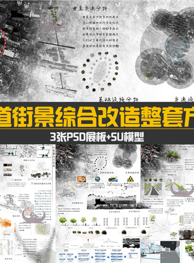 城市街景街道改造综合整治方案分析PSD展板A1A0竖排版模板SU模型