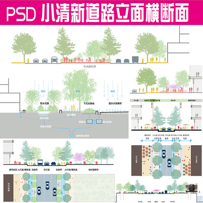 小清新PS立剖面图道路街道横断面PSD竞赛风植物素材海绵城市