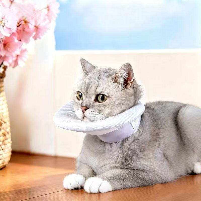 狗猫轻薄软伊丽莎白圈防舔术后