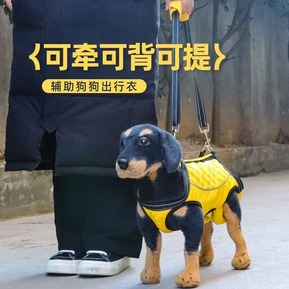 老年犬残疾犬康复行走辅助服