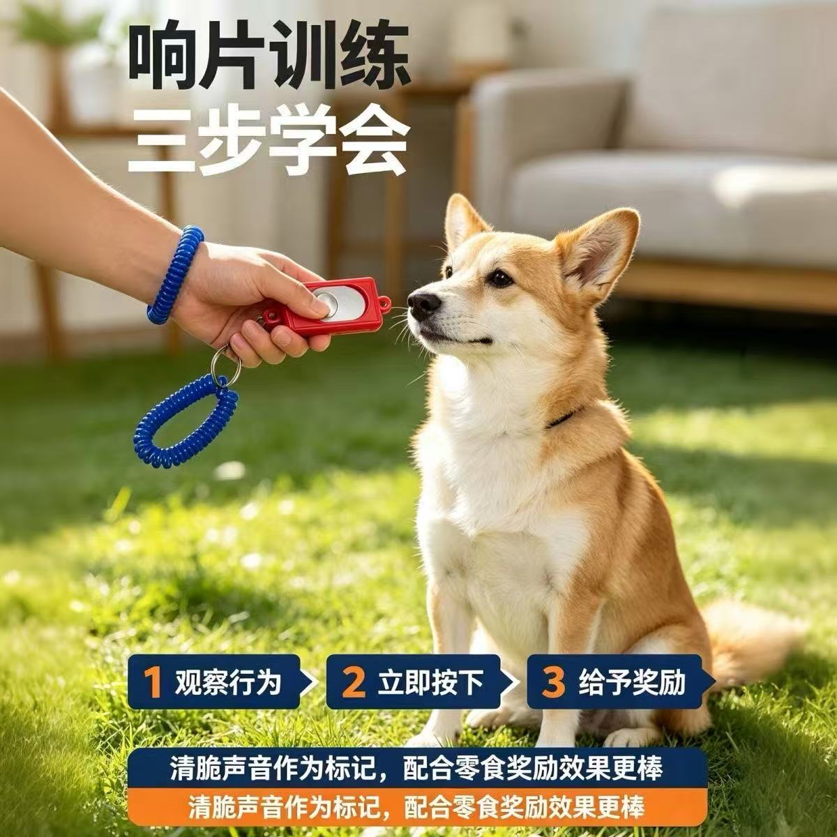 便携狗狗响片训练器三步学会