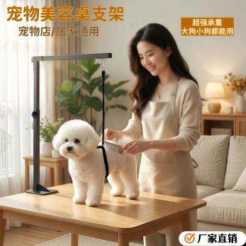 狗狗家用剪毛吹毛美容台