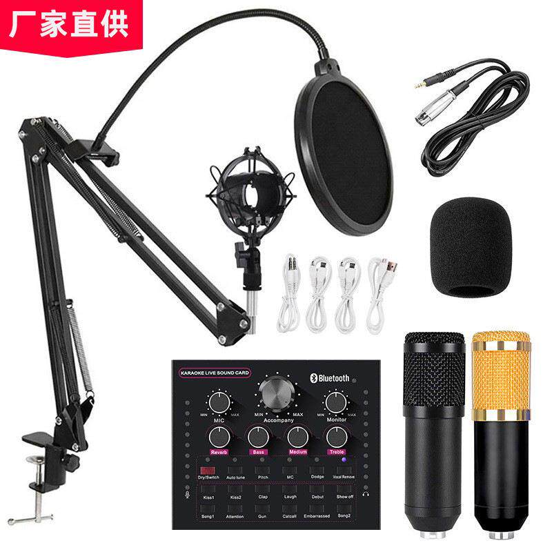 境外热款BM800电容麦克风电脑直播唱歌网红主播V12英文版声卡套装