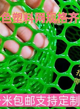 绿色塑料平网养殖网格养蜂养蚕养鱼养鸭养鹅养鸡围栏网阳台防护网
