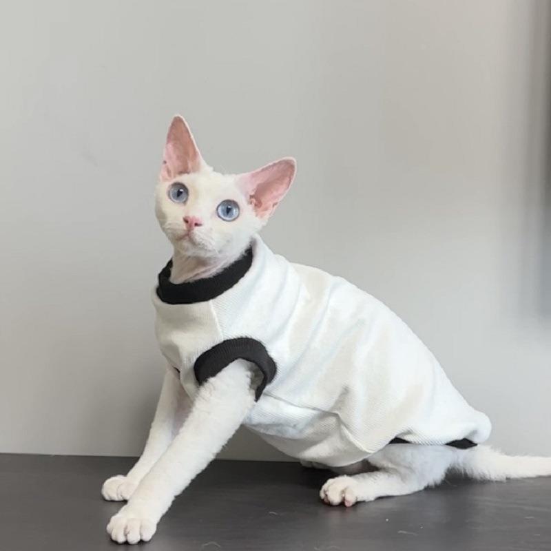 德文斯芬克斯宠物衣服黑白拼色螺纹打底阿比豹猫小八总简约两脚服 - 封面